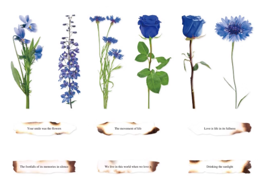 Plants and Poetry Romantic Rose Blossom Stickers Pack