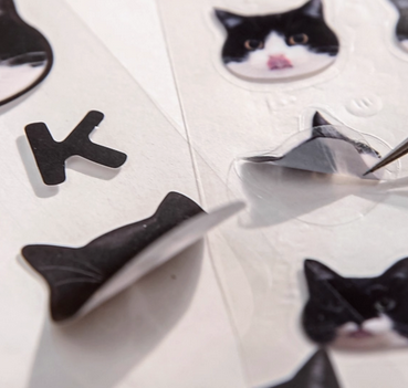 3D kitty Stickers