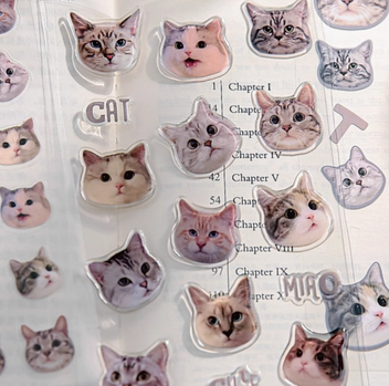 3D kitty Stickers