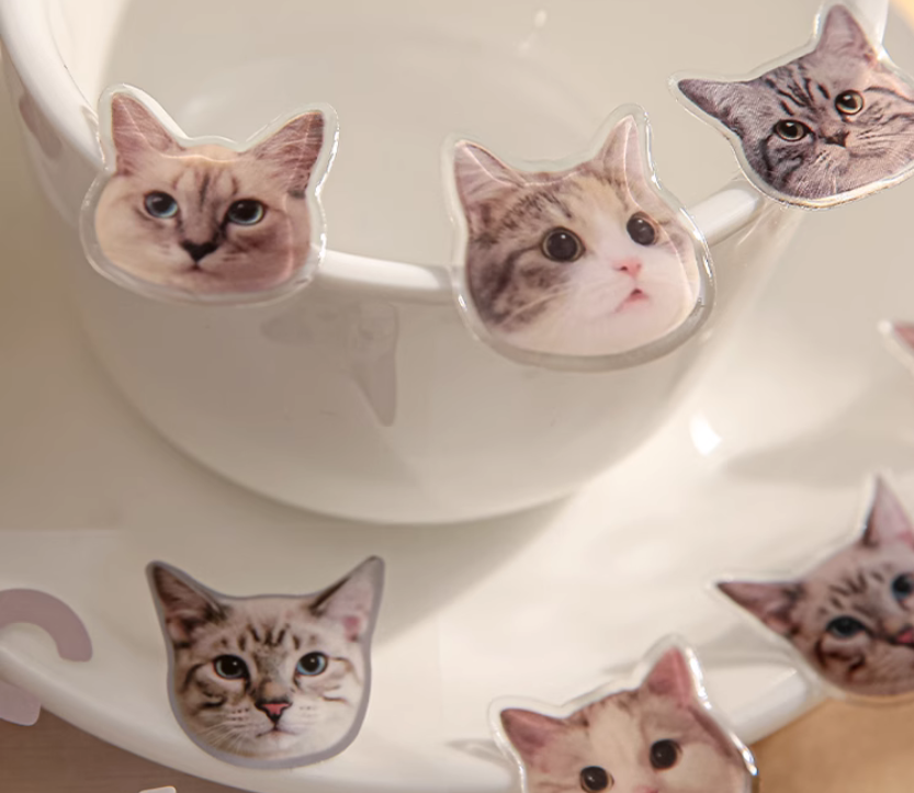 3D kitty Stickers