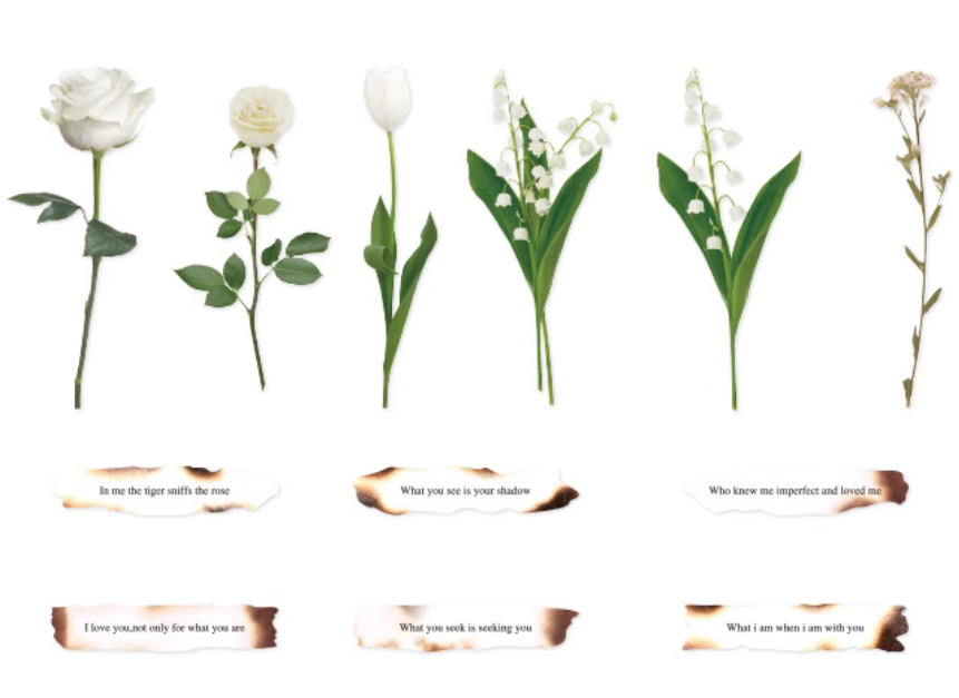 Plants and Poetry Romantic Rose Blossom Stickers Pack