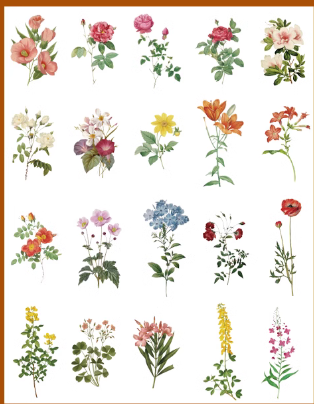 Monet Garden Plants Retro Journal Stickers Pack